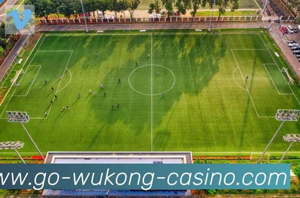 App功能展示图